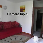 Complex New Histria