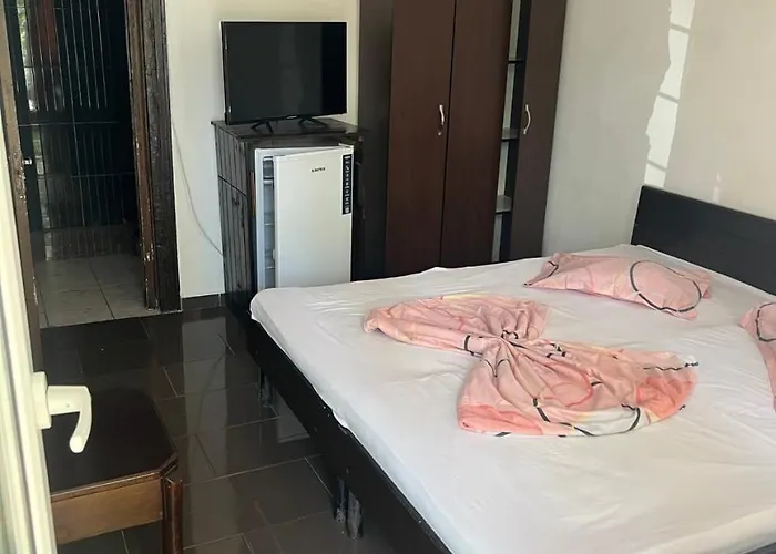 Complex New Histria *