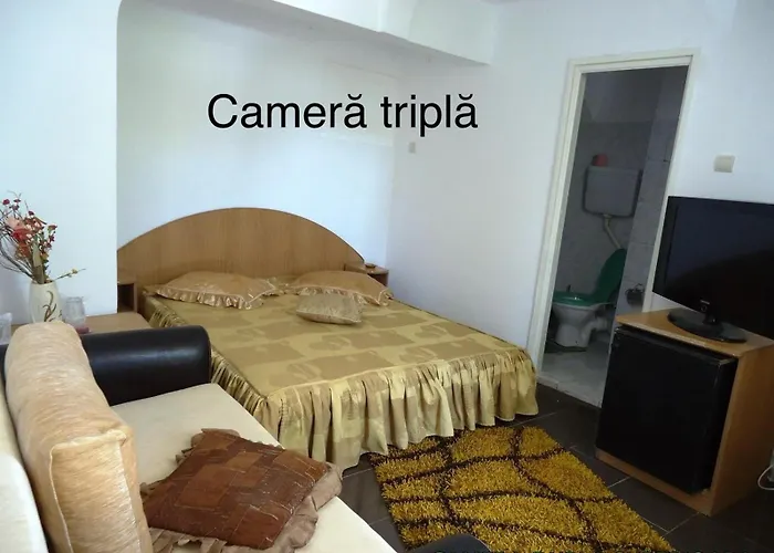 Complex New Histria ママイア